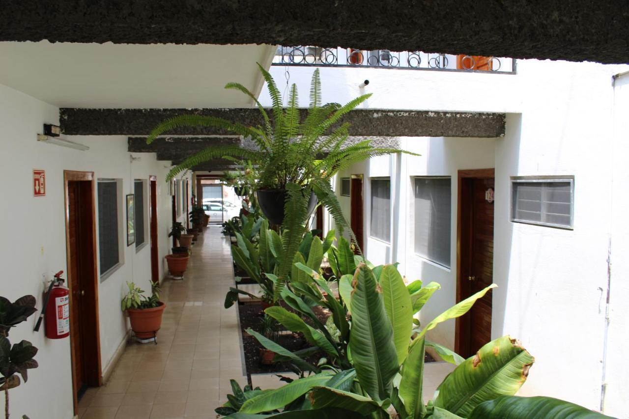 Hotel Casablanca Tuxtla Tuxtla Gutiérrez Exterior foto